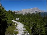 Ristorante Pietofana - Rifugio Ra Valles